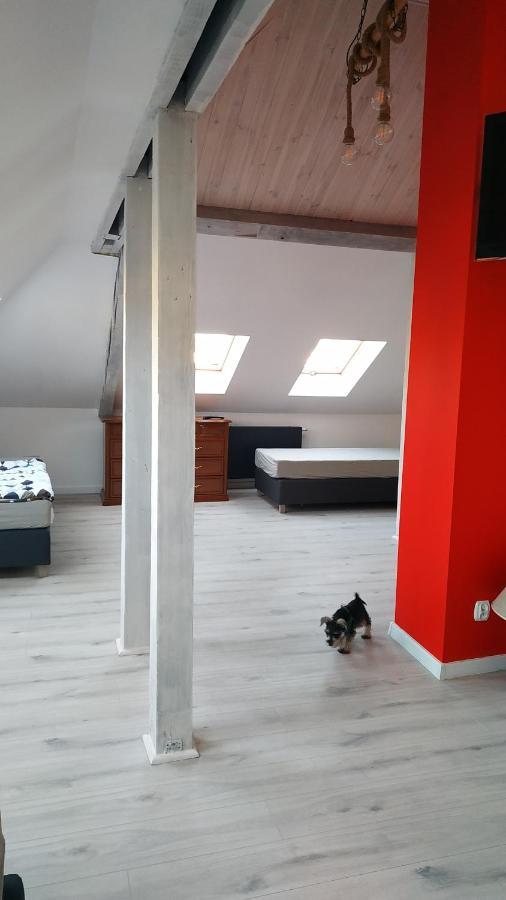 Apartament Witkacego Czerwony 斯武普斯克 外观 照片